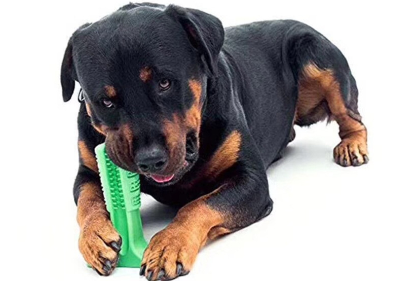 硅胶玩具定制 硅胶玩具定制